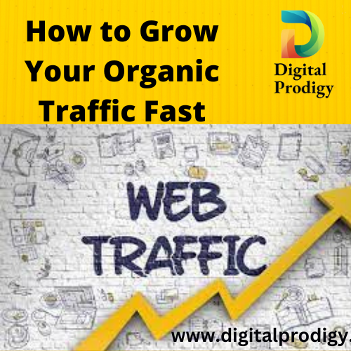 How to grow organic traffic fast on website